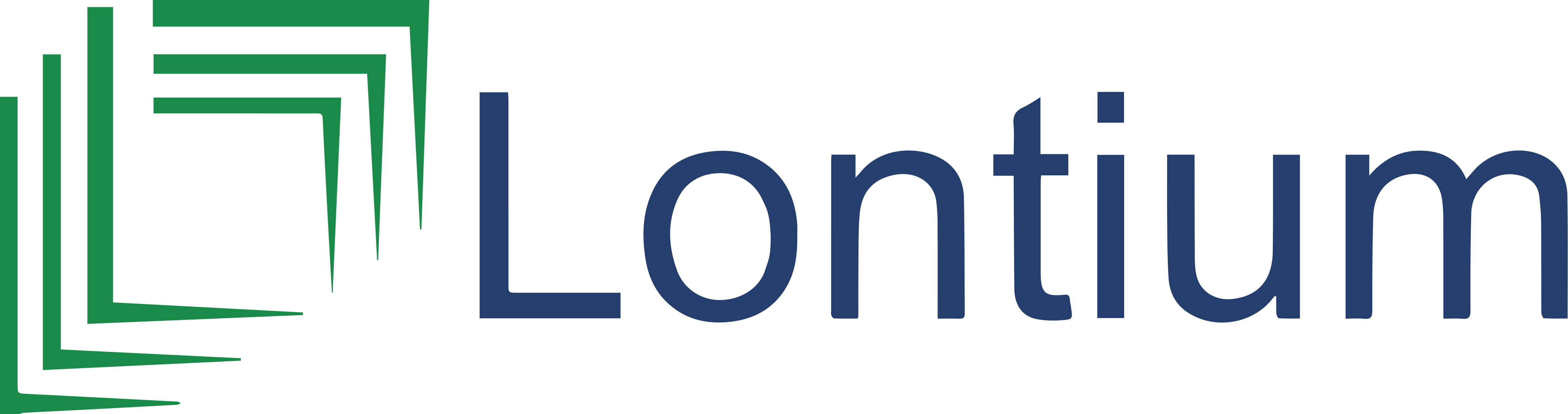 Lontium Semiconductor(ロンティウムセミコンダクター)